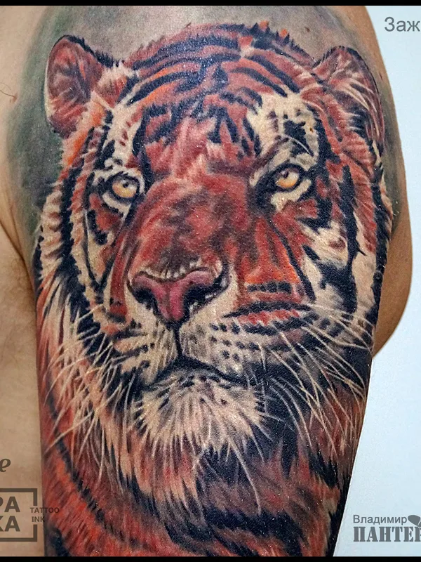 color realism 纹身 在 upper arm #32560 | 纹身师 Владимир ПАНТЕРА Королев