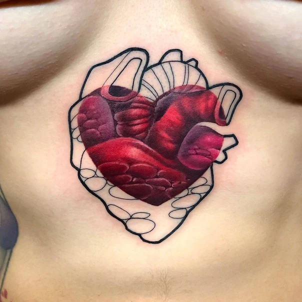 Realism Heart, Anatomy tattoo on Chest