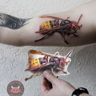 🔥 Горячие фото, портфолио модели  #37496  