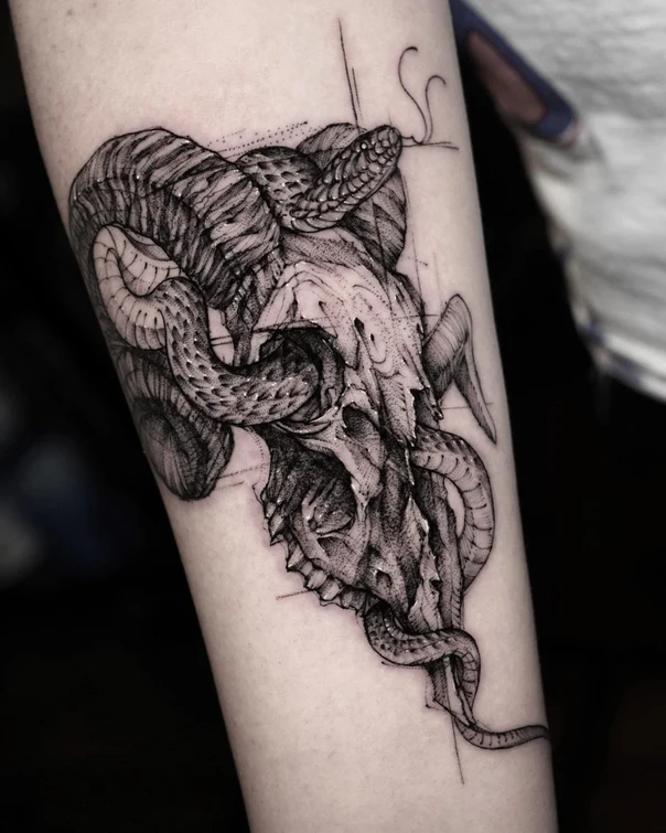 Sketch Skull, Snake tattoo on Forearm