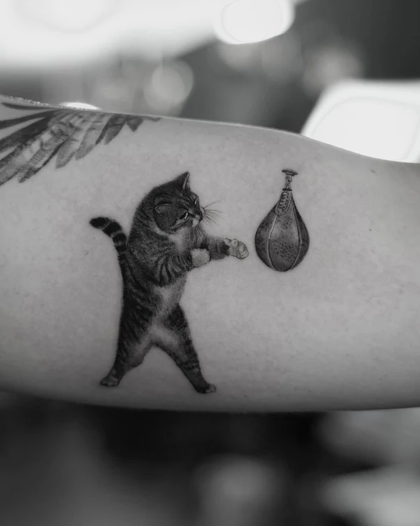 Black & Grey Cat, Boxing tattoo on Outer arm