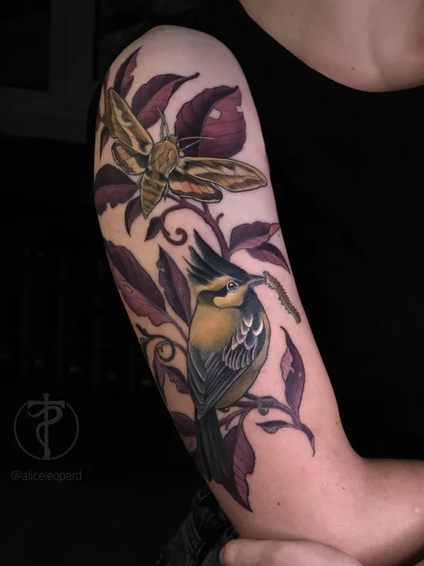 color illustrative татуировка на forearm #42594 | Тату мастер Алиса Леопард