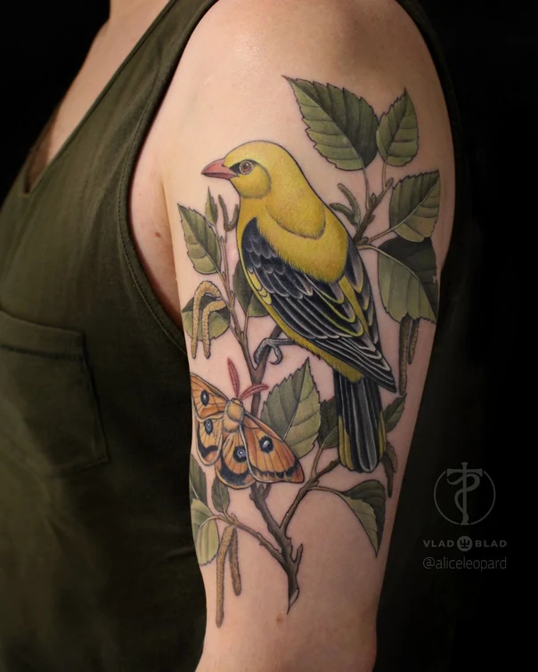 Иллюстративная Bird, Butterfly tattoo на Внешняя сторона руки
