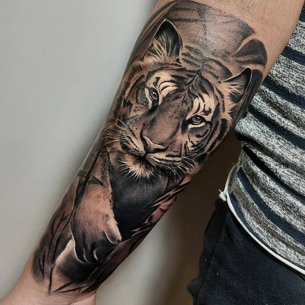 Realism Tiger tattoo on Forearm