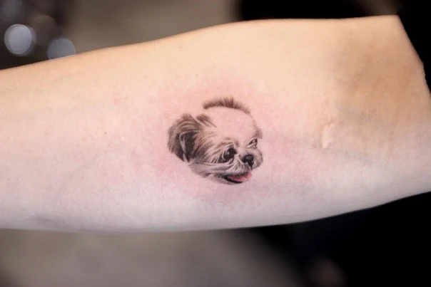 Realism Dog tattoo on Forearm