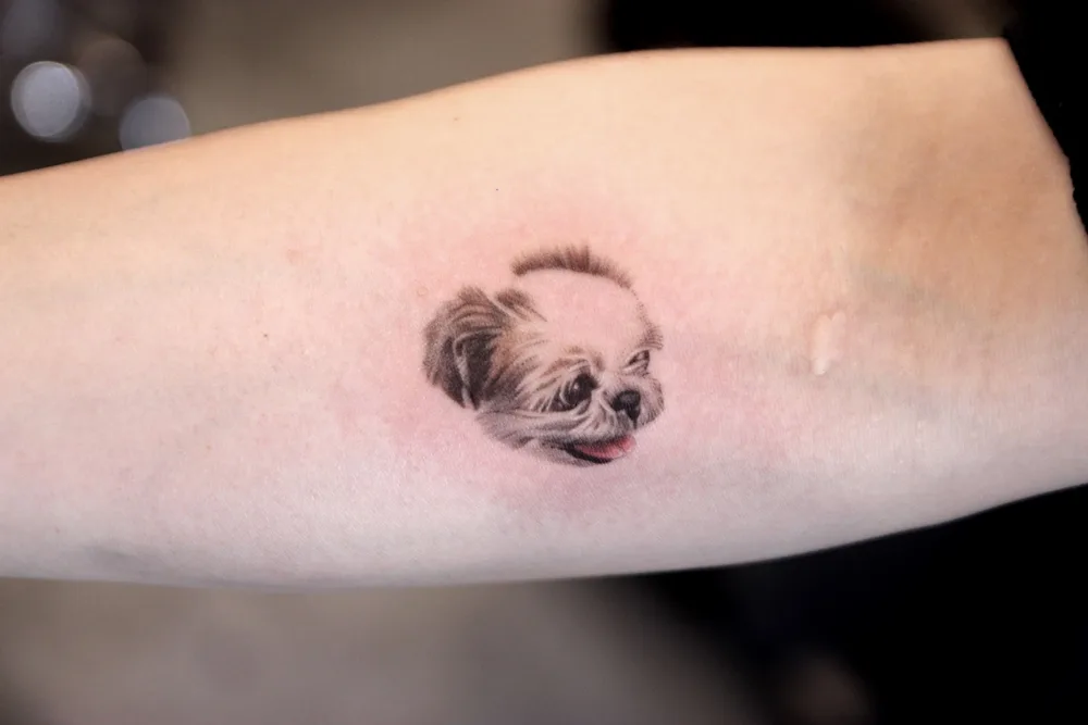 Microrealism dog tattoo done by Sodam
