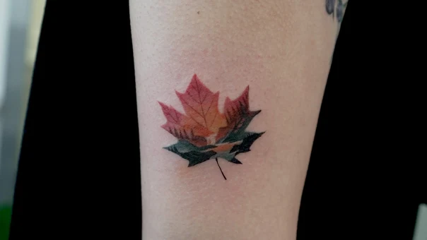 Illustrative Leaf, Landscape tattoo on Forearm