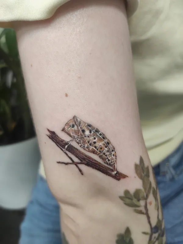 female color botanic tattoo on forearm #59042 | Tattoo Artist Ксения Дармаева