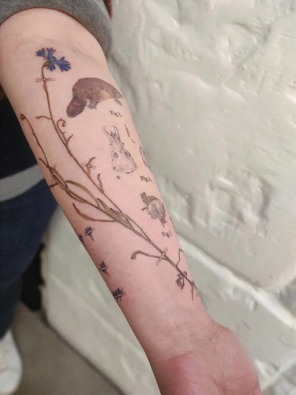 female color botanic tattoo on forearm #59056 | Tattoo Artist Ксения Дармаева