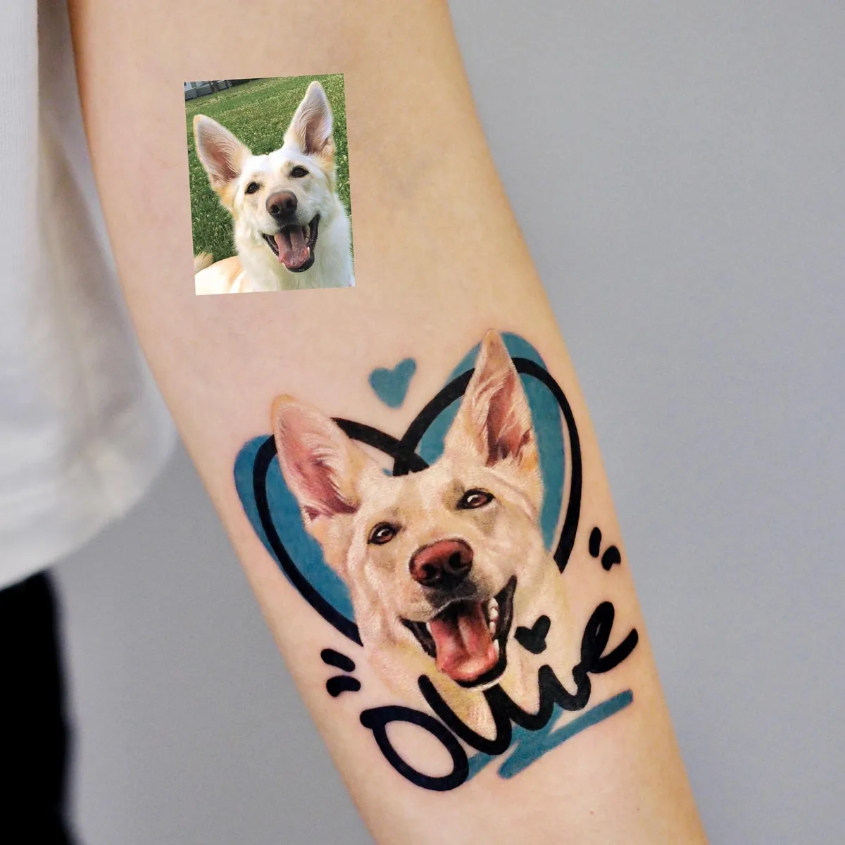 @fattie_tao: Tattooing the Beloved Animal Companions with a Unique Blend of Realism and Illustration - image 2
