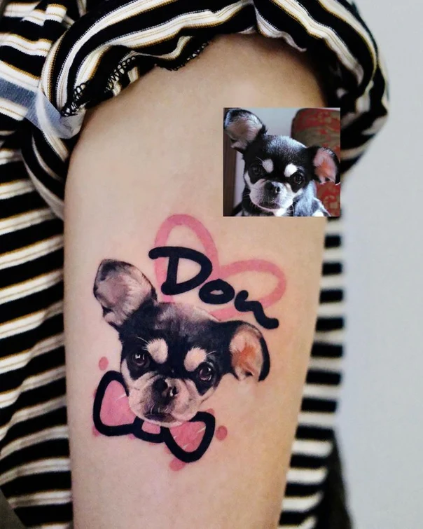 Realism Dog, Portrait tattoo on Bicep