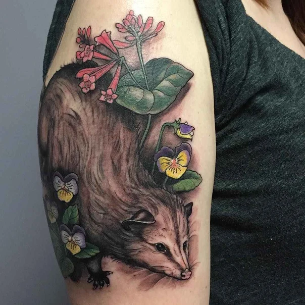Illustrative Opossum, Flowers tattoo on Upper Arm