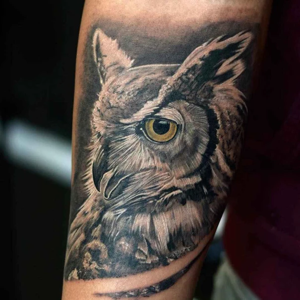 Realism Owl tattoo on Forearm