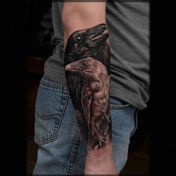Реализм Raven, Bird tattoo на Предплечье