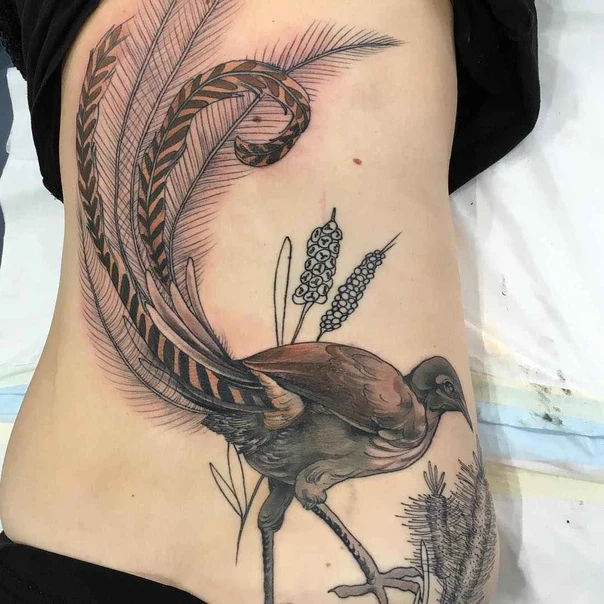 Illustrative Bird, Feathers tattoo on Side