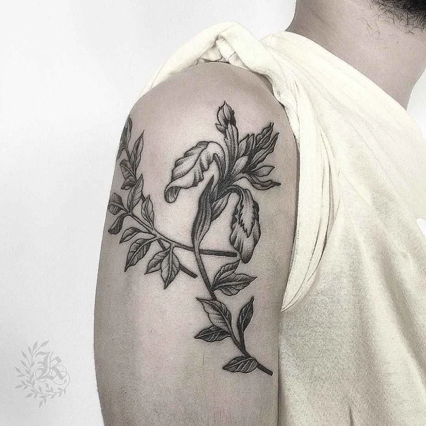 Ботаническая Flower, Leaves tattoo на Дельта