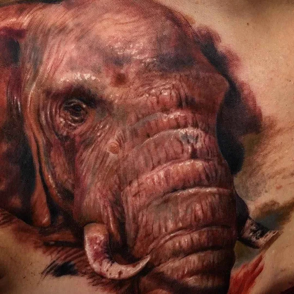 Realism Elephant tattoo on Chest