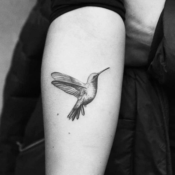 Realism Hummingbird tattoo on Forearm