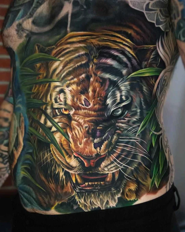 Realism Tiger, Leaves tattoo on Stomach