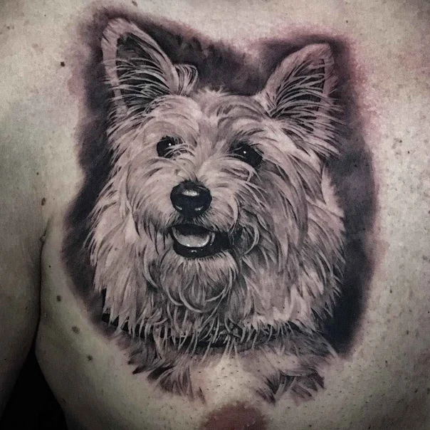 Realism Dog, Animal tattoo on Chest