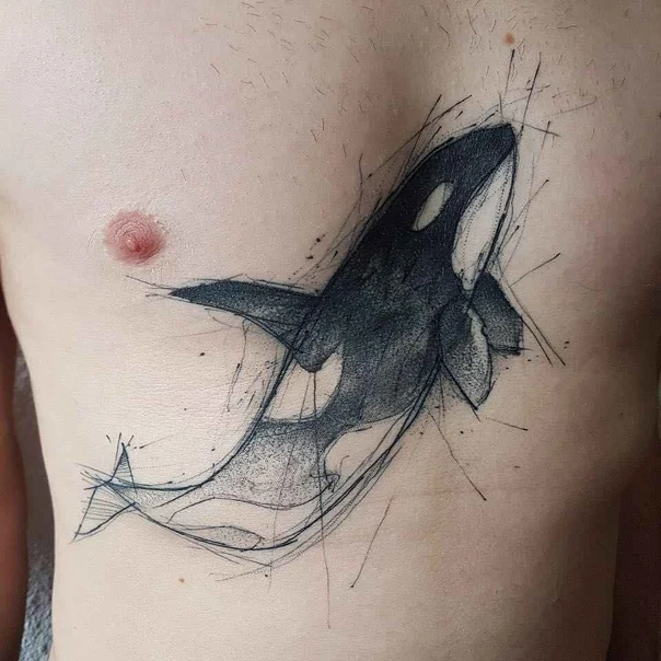Sketch Orca, Whale tattoo on Chest