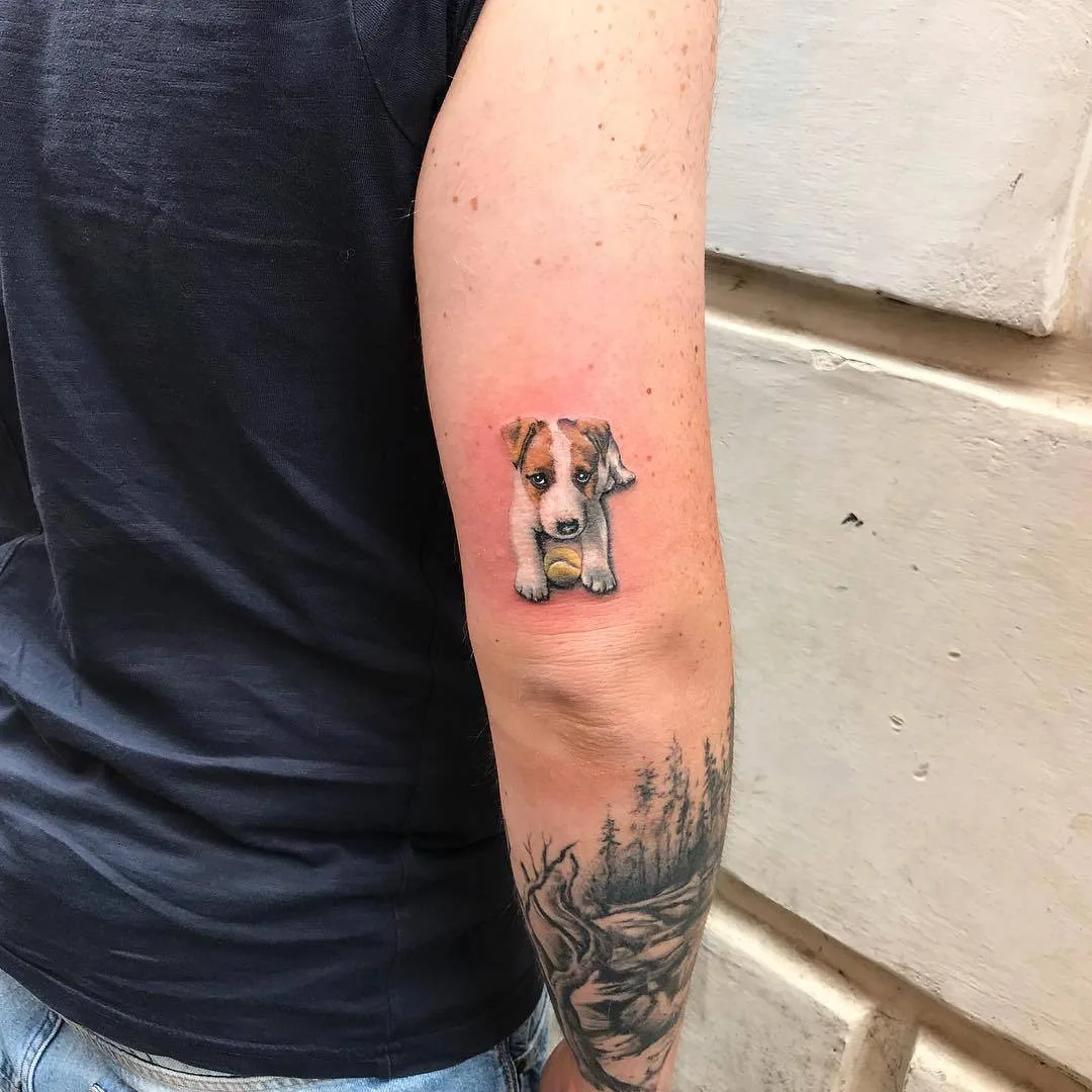 Tatuagem artista Alberto Marzari, cor tatuagem pequena realista, minimalismo, cachorro de Jack Russell | Roma, Itália 