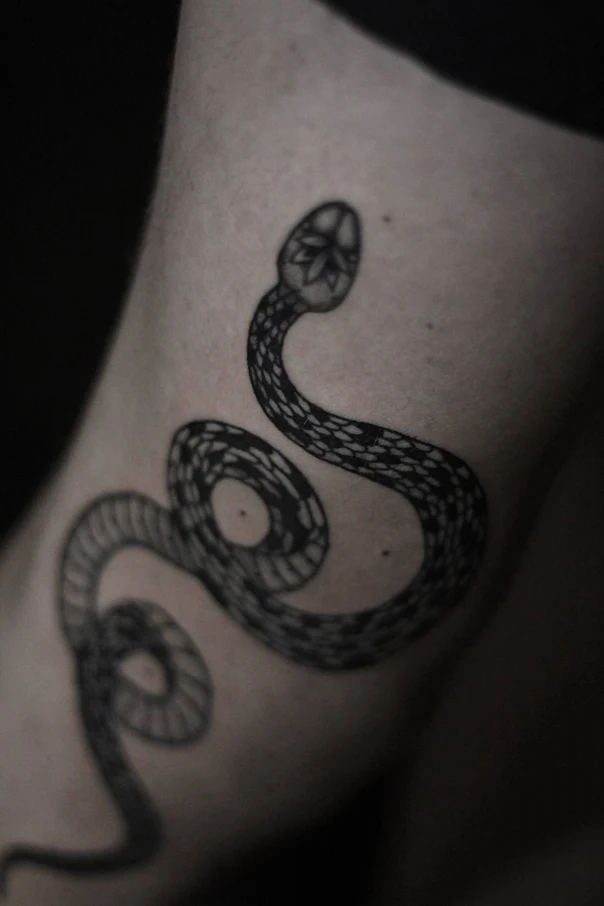 Лайнворк Snake tattoo на Предплечье