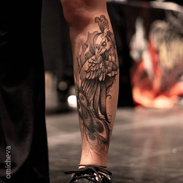 Блэкворк Peacock, Feathers tattoo на Икра