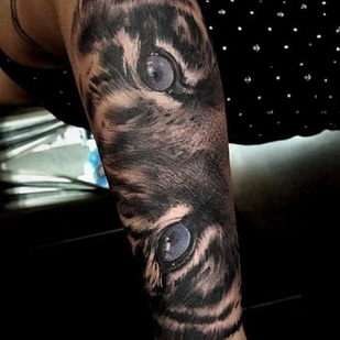 🔥 Горячие фото, портфолио модели  #37623  