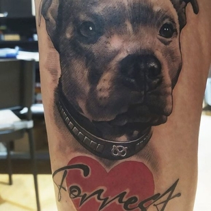 🔥 Горячие фото, портфолио модели  #37642  