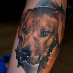 🔥 Горячие фото, портфолио модели  #37639  