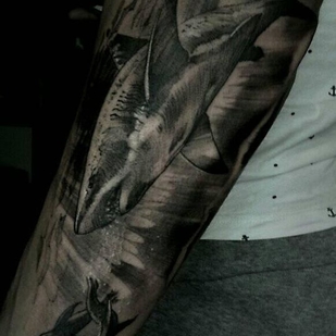 🔥 Горячие фото, портфолио модели  #37615  