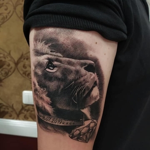 🔥 Горячие фото, портфолио модели  #37626  