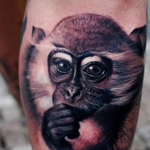 🔥 Горячие фото, портфолио модели  #37665  