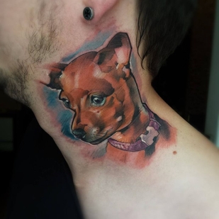 🔥 Горячие фото, портфолио модели  #37655  