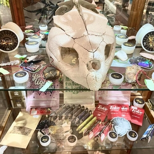 🔥 Горячие фото, портфолио модели  #42714  