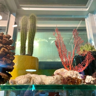 🔥 Горячие фото, портфолио модели  #42716  