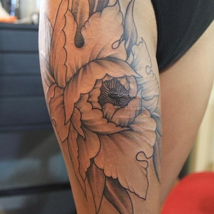 🔥 Горячие фото, портфолио модели  #42834  