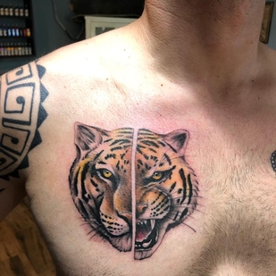 🔥 Горячие фото, портфолио модели  #42783  