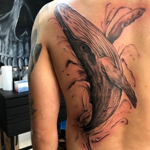 🔥 Горячие фото, портфолио модели  #42790  