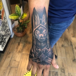 🔥 Горячие фото, портфолио модели  #42806  