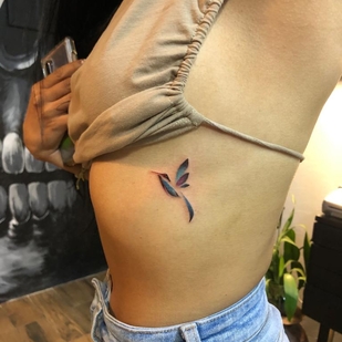 🔥 Горячие фото, портфолио модели  #42883  