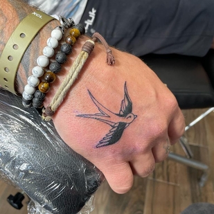 🔥 Горячие фото, портфолио модели  #42909  