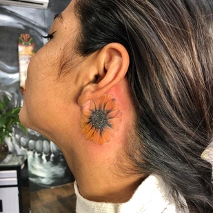 🔥 Горячие фото, портфолио модели  #42882  