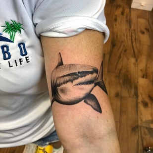 🔥 Горячие фото, портфолио модели  #42931  