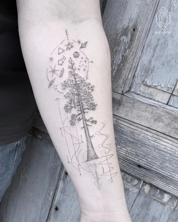 Linework Tree, Stars tattoo on Forearm