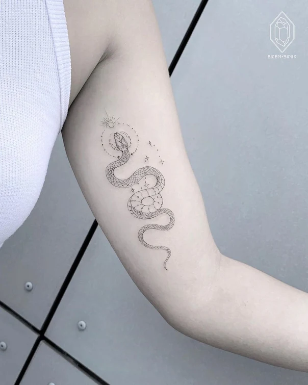 Fineline Snake, Stars tattoo on Forearm