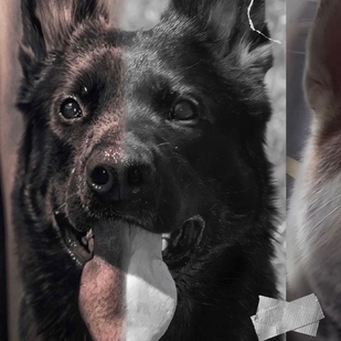 татуировка #59858 | Тату мастер Daniel Luzardo