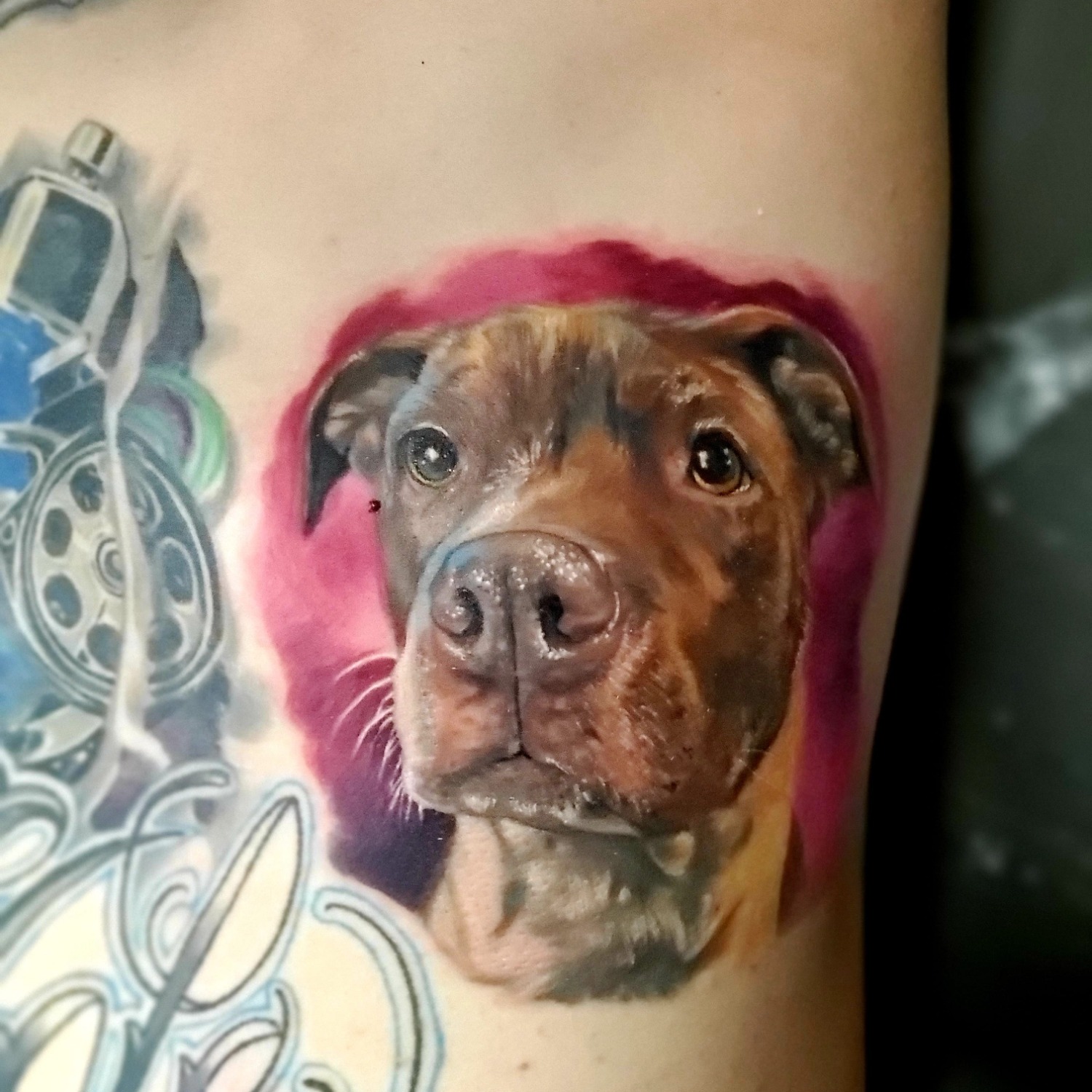 Tattoo by Varnished Anatomy Tattoo at Varnished Anatomy Tattoo