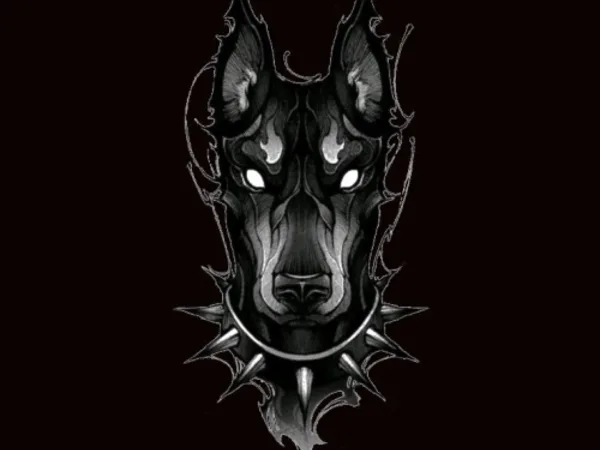STUDIO BLACK DEVIL